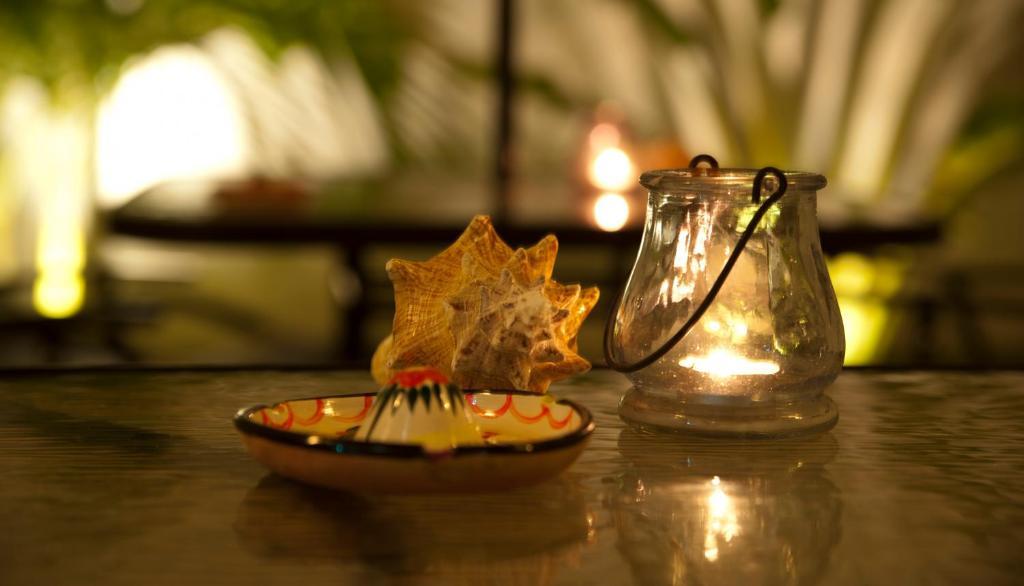 Casa Felicidad B&B Room & Kitchen Playa del Carmen Zewnętrze zdjęcie