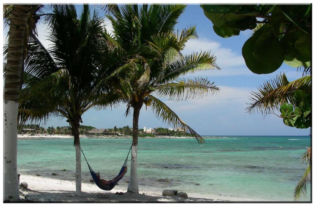 Casa Felicidad B&B Room & Kitchen Playa del Carmen Zewnętrze zdjęcie